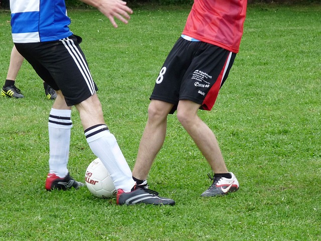 的情感转变 的情感转变