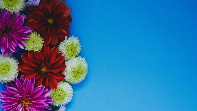 更加團結 更加團結