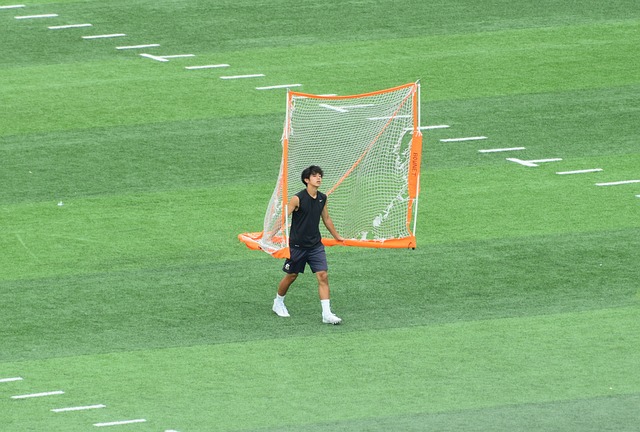 游客可以乘 游客可以乘