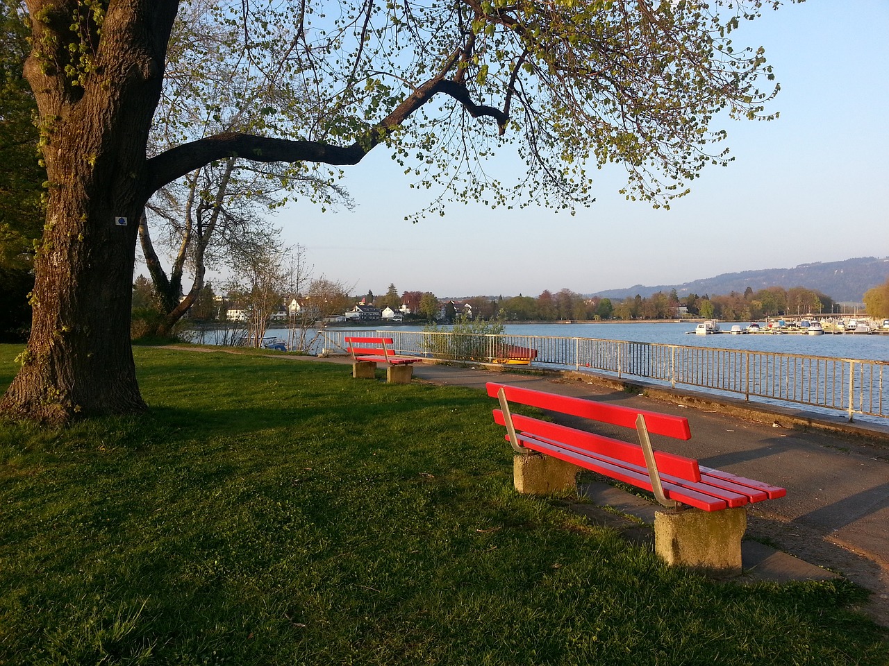 而相比之下 而相比之下