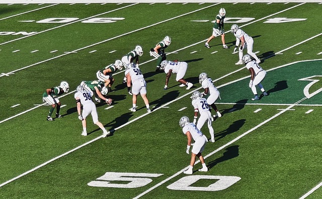 为球队新星 为球队新星