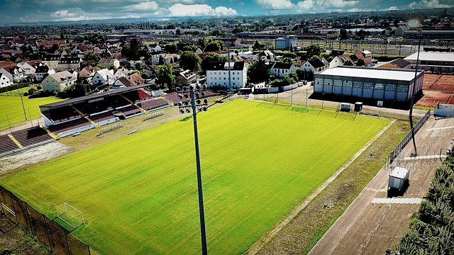 顿奇才的N 顿奇才的N