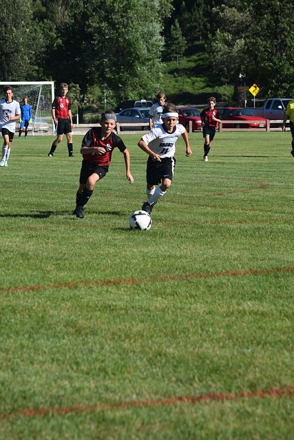 为了更好地 为了更好地