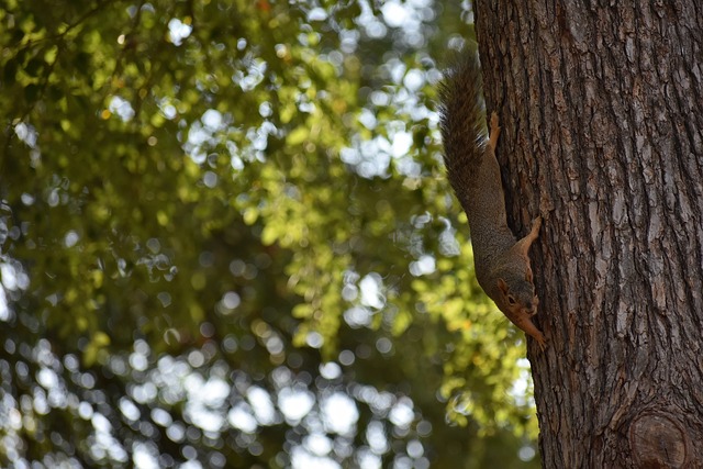 不仅是数据 不仅是数据