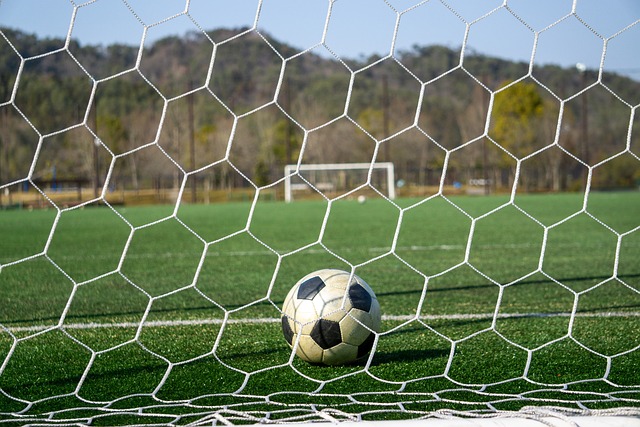 立了良好的 立了良好的