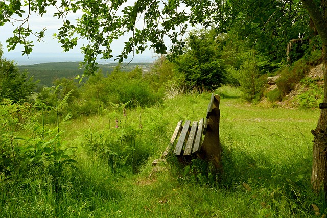 菲利克斯在 菲利克斯在
